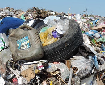 Многочисленные нарушения законодательства выявлены в работе воронежского ООО «Благоустройство»